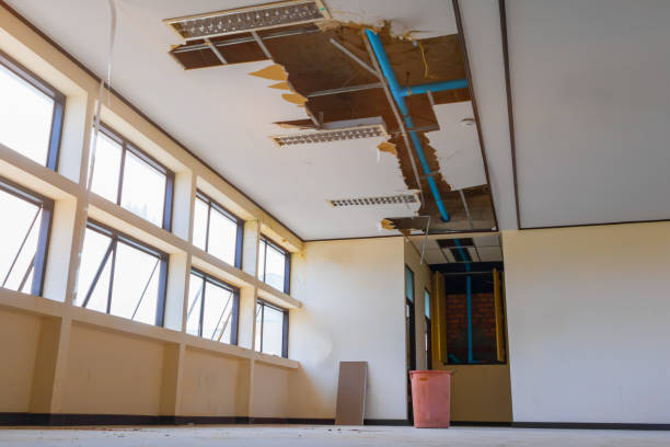 Best Flood restoration services  in Hoquiam, WA
