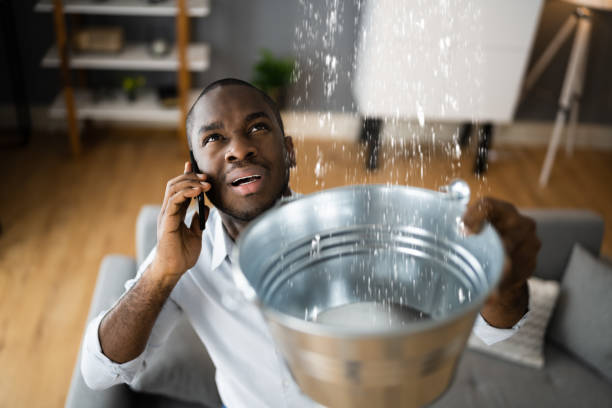 Best Carpet water damage restoration  in Hoquiam, WA