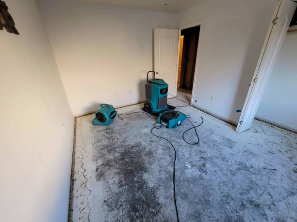 Best Water damage restoration insurance claims  in Hoquiam, WA