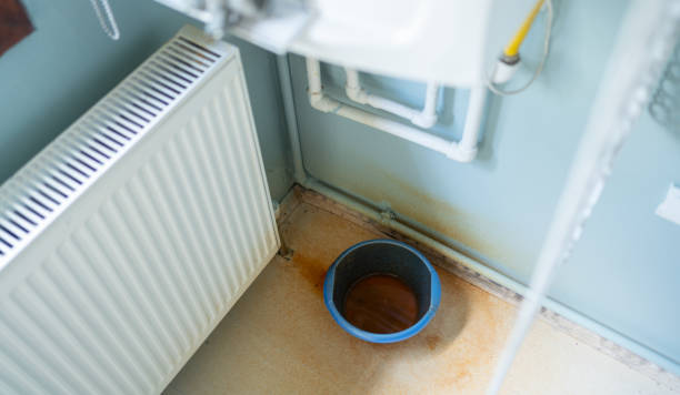 Best Water damage cleanup near me  in Hoquiam, WA