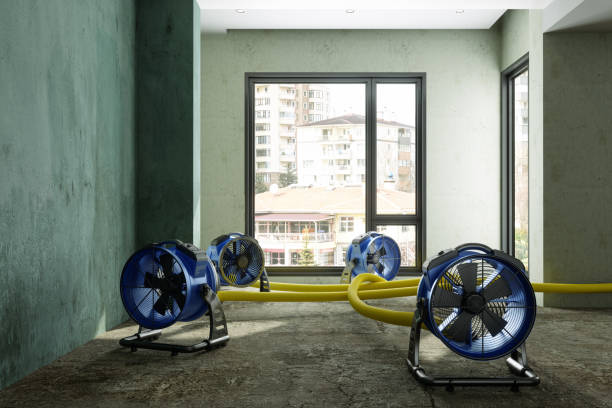 Best Emergency water damage restoration  in Hoquiam, WA