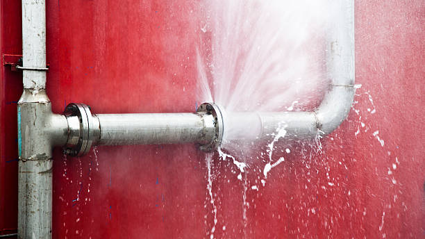 Best Ceiling water damage repair  in Hoquiam, WA